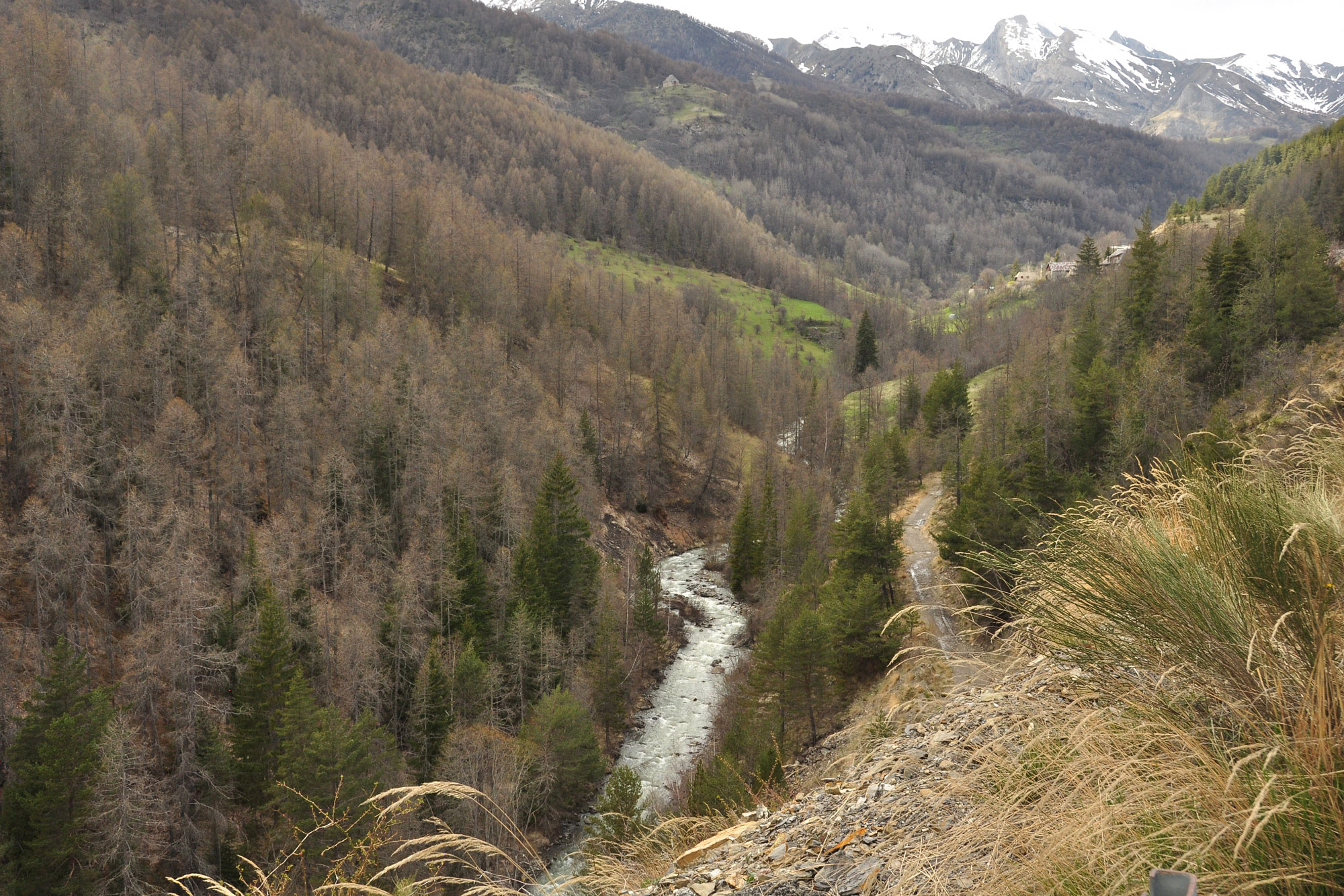 Col d'Allos